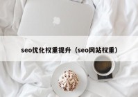 seo优化权重提升（seo网站权重）